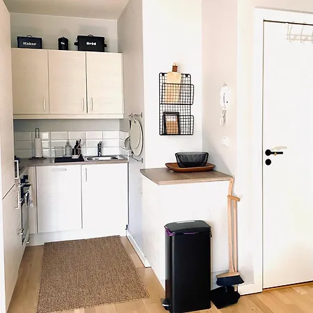 Daire Refined And Ultra-central Oslo